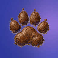 Pawfolio